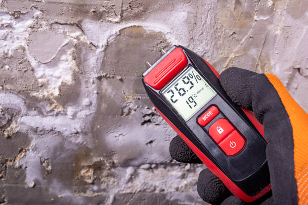 Best Kitchen Mold Remediation in Marshall, VA