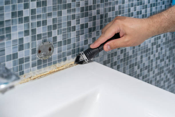 Best Mold Remediation for Specific Building Types in Marshall, VA