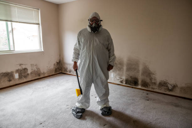 Trusted Marshall, VA Mold Remediation Experts